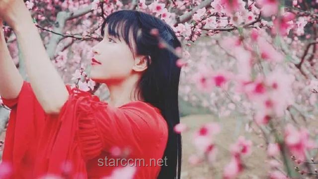 **闭关半年，李子柒现身婺源：一段心灵与自然的深度对话**